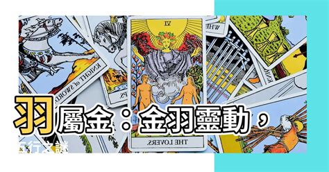 羽屬金|【羽屬金】一探「羽」字奧秘：揭開它究竟屬於金、木、水、火、。